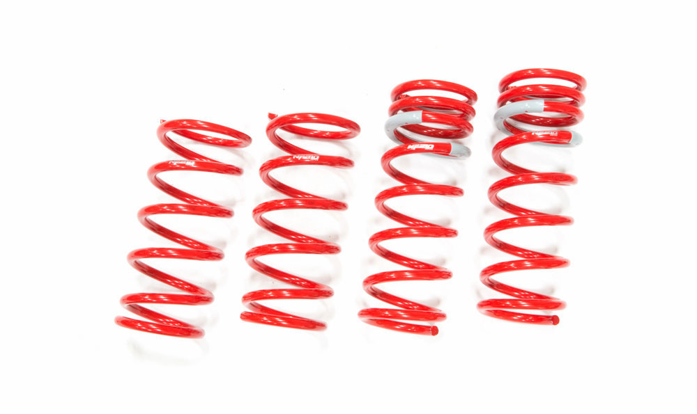 Tanabe TNF113 | Lexus IS250 AWD Sustec NF210 Lowering Springs 1.0 / 1.4; 2006-2013