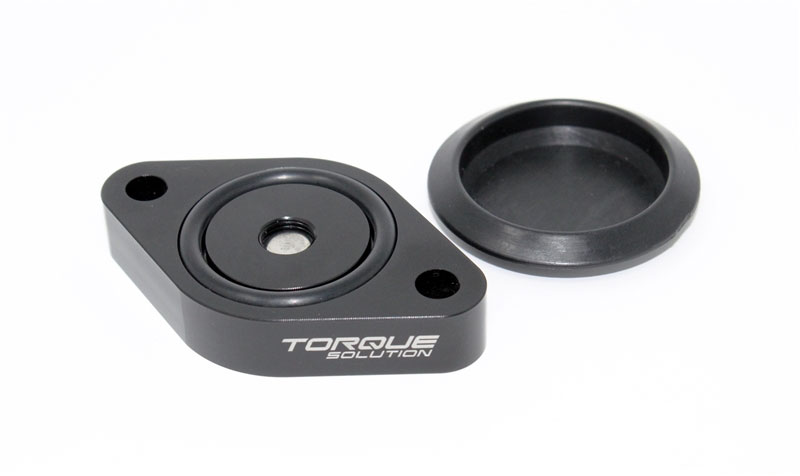 Torque Solution ts-st-511 | Sound Symposer Delete 2013+ Ford Focus ST; 2013-2023