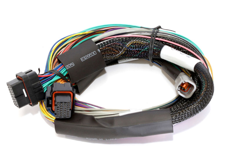 Haltech ht-151302 | Elite 2500 Basic Universal Wire-In Harness ECU Kit