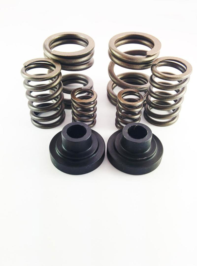 DDP ddp 3/4kgsk | Dodge 94-98 P-Pump 3000 & 4000 RPM Governor Spring Kit; 1994-1998