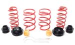 H&R 18-21 Audi RS3 (AWD) Typ GY VTF Adjustable Lowering Springs (w/ RS-Sport Sus.) w/DCC; 2018-2021