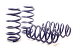 H&R 01-05 Volkswagen Passat 4Motion Sedan/Wagon Sport Spring (Non W8); 2001-2005