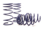 H&R 94-96 BMW M3 3.0L E36 OE Sport Spring (Non Cabrio); 1994-1996