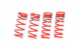 Tanabe Lexus GS300 Sustec DF210 Lowering Springs 1.9 / 1.6