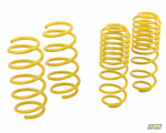 mountune Sport Spring Set 2014-2015 Fiesta ST; 2014-2015