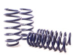 H&R 09-20 Dodge Challenger RT/SRT8 V8 Sport Spring (w/o Nivomat); 2009-2020