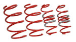 Tanabe Toyota Prius Sustec DF210 Lowering Springs 1.3 / 1.6