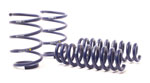 H&R 13-15 BMW X1 sDrive28i E84 Sport Spring (2WD Only); 2013-2015