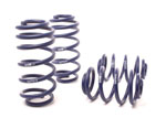 H&R 98-01 Volkswagen Passat Sedan/Passat Wagon VR6/TDI Sport Spring; 1998-2001