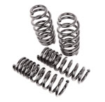 ALDAN AMERICAN Lowering Springs AXS Kit. Front and Rear. Dodge Set of 4. Black.