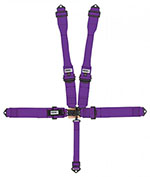 CROW SAFETY GEAR 5-Way L&L 52in Lap Belt- Indiv DB Harness B/I Bl