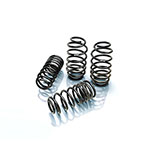 Eibach DODGE Magnum PRO-KIT Performance Springs (Set of 4 Springs), RWD V6; 2005-2008