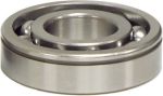 BRINN TRANSMISSION Bearing