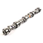 ELGIN GM LS Roller Camshaft