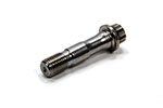 LUNATI Replacement Rod Bolt