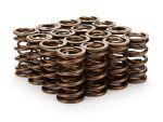 STRAUB TECHNOLOGIES INC. 1.290 Dual Valve Springs 16pk