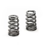 Supertech BMW S65 V8 18.7mm Outer Dia Beehive Spring - Set of 16; 2007-2013