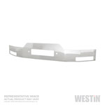 Westin 2009-2014 Ford F-150 MAX Winch Tray Face Plate - SS; 2009-2014