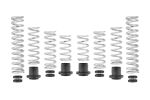 Eibach Pro-UTV 21-23 Honda Talon 1000R Stage 2 Performance Springs; 2021-2023