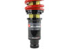 Skunk2 Racing 541-05-8725 | Skunk2 96-00 Honda Civic Pro-ST Coilovers (Front 10 kg/mm - Rear 10 kg/mm); 1996-2000 Alternate Image 5