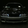 Spec-D Tuning 2LHP-E3997JM-TM | Bmw 5-Series Halo Projector Headlight Black Housing; 2001-2003 Alternate Image 11