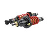 Skunk2 Racing 541-05-8700 | Skunk2 01-05 Honda Civic / 01-05 Acura Integra Pro-ST Coilovers (Front 10 kg/mm - Rear 10 kg/mm); 2001-2005 Alternate Image 2