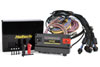 Haltech ht-195200 | NEXUS R5 Universal Wire-In Harness Kit Alternate Image 1