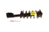 KYB sr4159 | Shocks & Struts Strut Plus Front Right Chevy Equinox 05-06; 2005-2006 Alternate Image 1