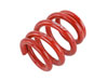 Skunk2 Racing 521-99-1170 | Skunk2 Universal Race Spring (Elliptical) - 6 in.L - 2.5 in.ID - 18kg/mm (0600.250.018E) Alternate Image 5