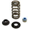 COMP Cams 26125ACS-KIT | Valve Spring Kit 0.585in Lift Beehive 01-05 GM 6.6L Duramax Diesel (LB7/LLY); 2001-2005 Alternate Image 5