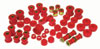 Prothane 8-2002 | 88-91 Honda Civic/CRX Total Kit - Red; 1988-1991 Alternate Image 1