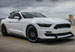 Anderson Composites AC-FB15FDMU-GR-GF | Mustang Front Bumper Fiberglass GT350 Style; 2015-2017 Alternate Image 2