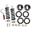 Aldan American 300131 | ALDAN AMERICAN Suspension Package Road Comp 60-71 Ford Coilovers with Shocks BB Kit; 1966-1970 Alternate Image 2