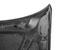 Anderson Composites AC-HD1113DGCR4D-OE | Charger Carbon Fiber Hood Type-OE; 2011-2014 Alternate Image 4