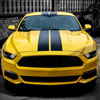 Spec-D Tuning hg-mst15ca-bn | SPEC-D Tuning Ford Mustang Ca Type Grille; 2015-2017 Alternate Image 9