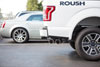 Roush 421985 | ROUSH F-150 5.0L Cat-Back Exhaust System Side Exit; 2015-2020 Alternate Image 3