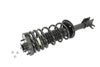 KYB sr4008 | Shocks & Struts Strut Plus Rear Left FORD Escort 1991-96 MAZDA 323 1990-94 MAZDA Protege 1990-94; 1990-1996 Alternate Image 1