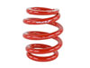 Skunk2 Racing 521-99-1160 | Skunk2 Universal Race Spring (Elliptical) - 6 in.L - 2.5 in.ID - 14kg/mm (0600.250.014E) Alternate Image 2