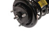 KYB sr4129 | Shocks & Struts Strut Plus Front Left ACURA EL 2003-2002; 2002-2003 Alternate Image 6