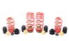 H&R 230211 | H&R 20-23 Audi RS6 Avant VTF Adjustable Lowering Springs; 2020-2023 Alternate Image 1