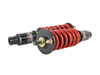 Skunk2 Racing 541-05-8725 | Skunk2 96-00 Honda Civic Pro-ST Coilovers (Front 10 kg/mm - Rear 10 kg/mm); 1996-2000 Alternate Image 3